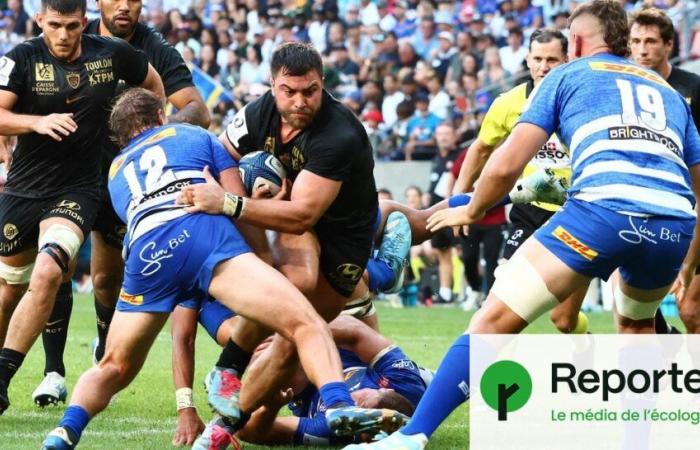 le non-sens écologique du rugby européen