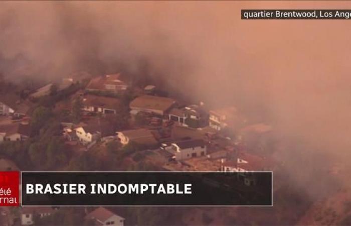 Les incendies continuent de croître à Los Angeles ; le bilan s’élève à 16 morts