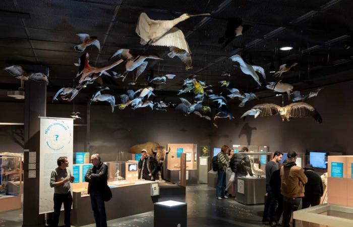 5 expositions qui vous feront voyager vers l’ouest