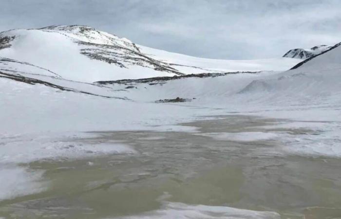 Au cœur du lac Enigma gelé de l’Antarctique, quelque chose se cachait sous 14 mètres de glace – jusqu’à aujourd’hui