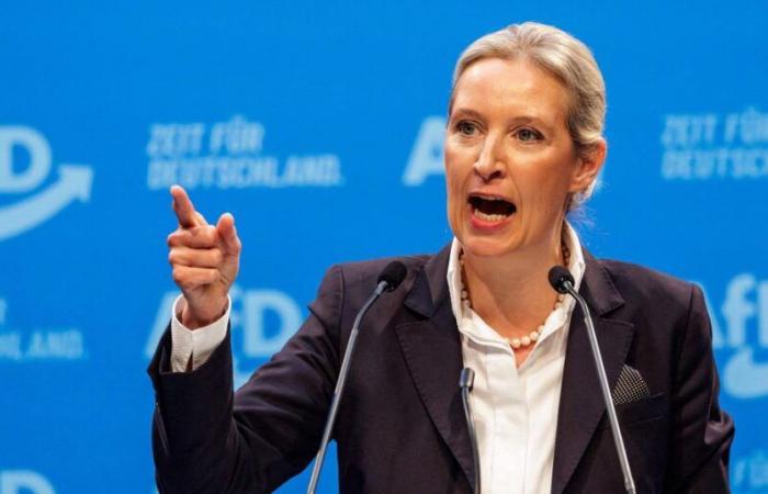 Le candidat à la chancellerie Weidel attaque la CDU