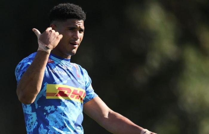 Springboks : le point inquiétant de Feinberg-Mngomezulu après le « risque » des Stormers : Planet Rugby