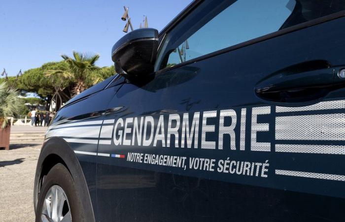 un mineur de 14 ans tué, l’agresseur présumé, âgé de 16 ans, placé en garde à vue