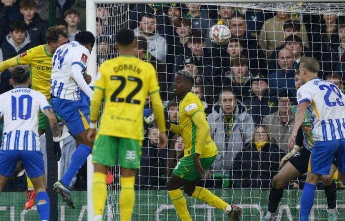 Norwich City 0-4 Brighton : rapport du match, notes des joueurs