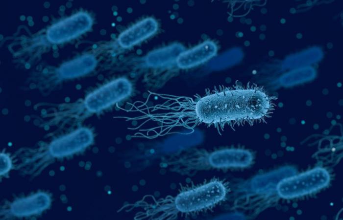 Que trouve-t-on le plus dans notre corps ? Cellules ou microbes ?