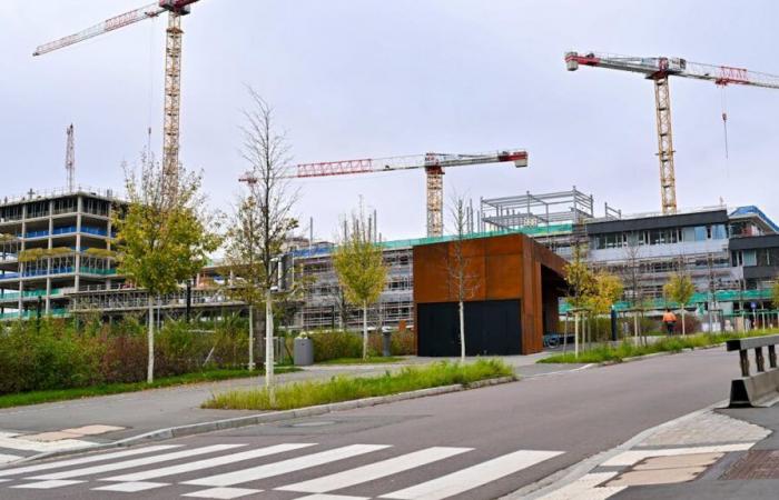 Au Luxembourg : Construire plus et plus vite : les solutions gouvernementales