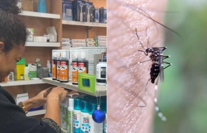 Faut-il baisser les prix en cas d’épidémie de chikungunya ?