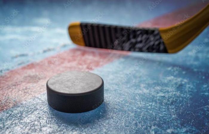 Un blessé suite à une altercation entre supporters à Bienne