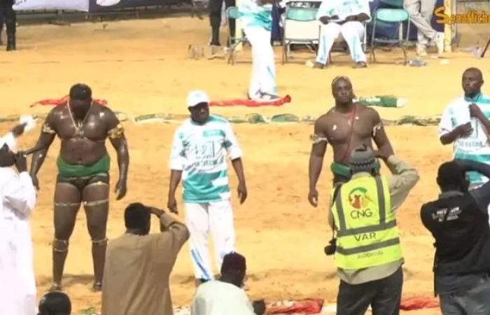 Son of Balla wins against Diène Kairé…