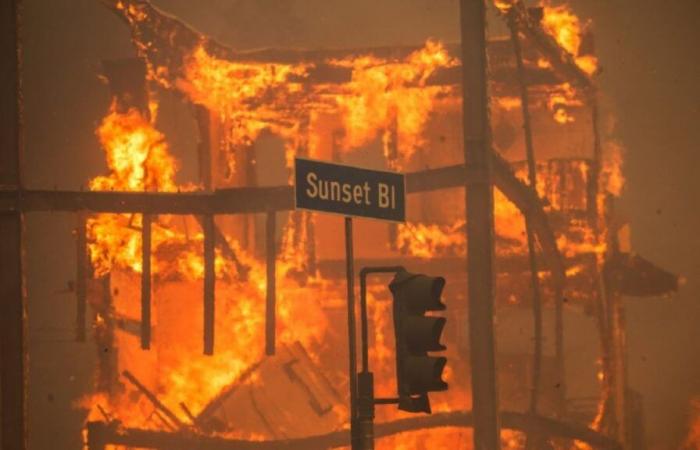 Les incendies de forêt de Los Angeles font au moins 24 morts alors que Gavin Newsom fait face à un nouveau contrôle de financement