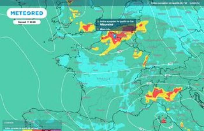 Pouvons-nous inverser la destruction des forêts tropicales de la planète ?