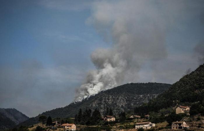 Comment les forêts du massif de La Colle Noire se sont régénérées après un incendie dévastateur