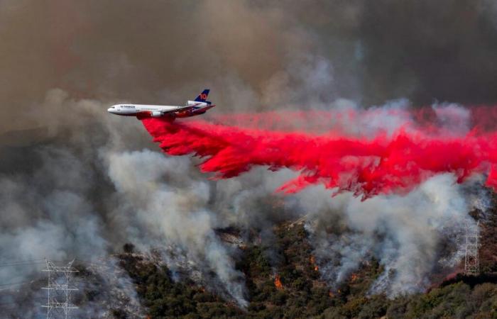 l’ancienne enfant star gravement handicapée est décédée à 32 ans dans les incendies de Los Angeles