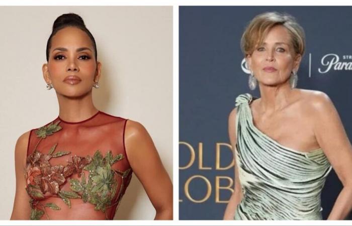 Halle Berry fait don de « toute sa garde-robe » aux victimes des incendies de forêt de Los Angeles ; merci Sharon Stone d’avoir défendu la cause