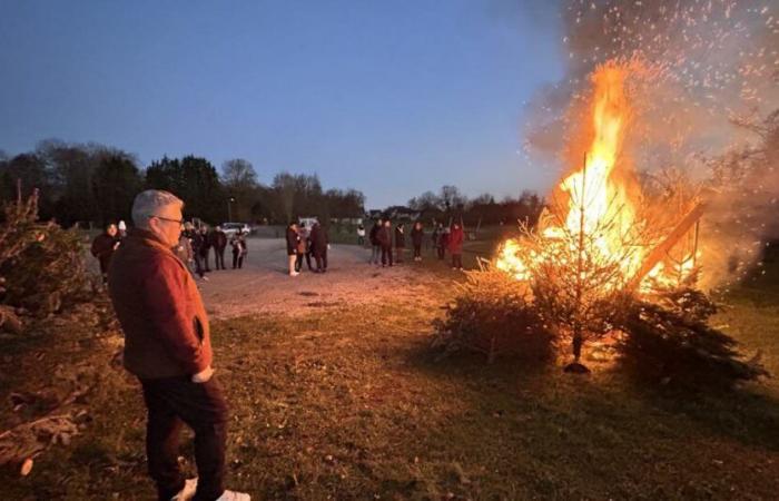 Côte-d’Or. Brûler des sapins de Noël : polluant, interdit mais populaire