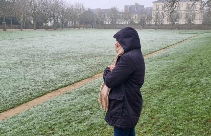 Météo France place lundi une grande partie de la France en alerte, prévisions