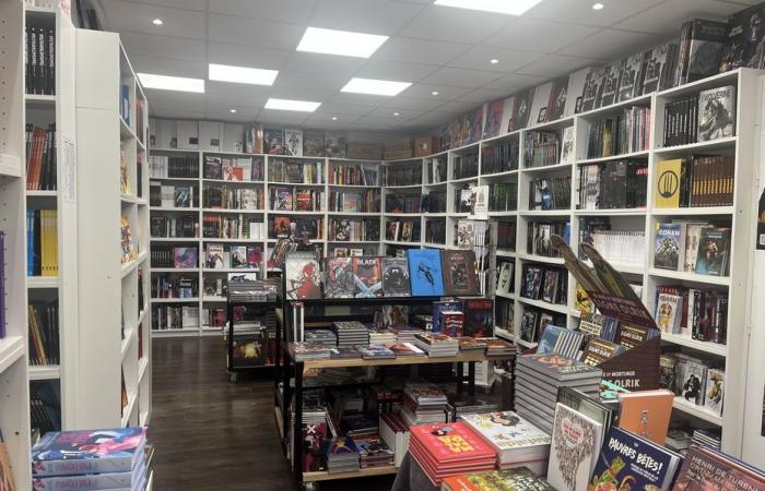 l’ascension fulgurante d’un libraire spécialisé dans les mangas et les comics