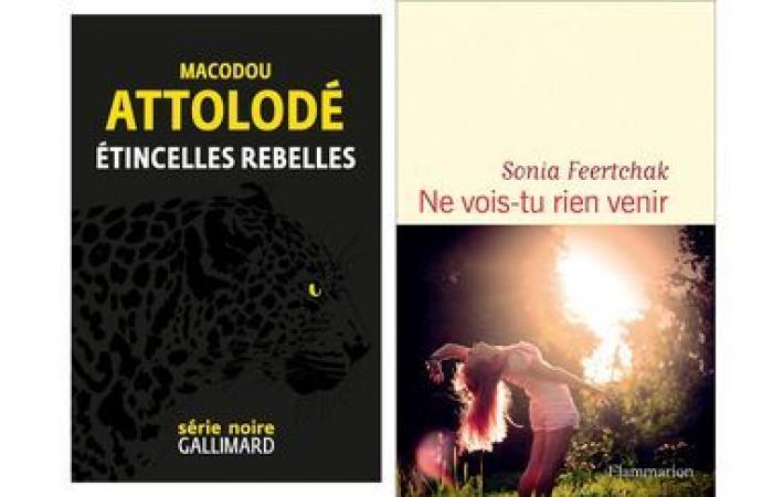 La suite de la sélection du Prix franceinfo 2025 de la bande dessinée d’actualité et de reportage, Macodou Attolodé et Sonia Feertchak