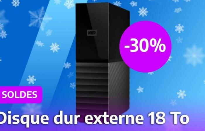 Cet énorme disque dur externe de 18 To coûte moins de 170 € pendant les soldes !