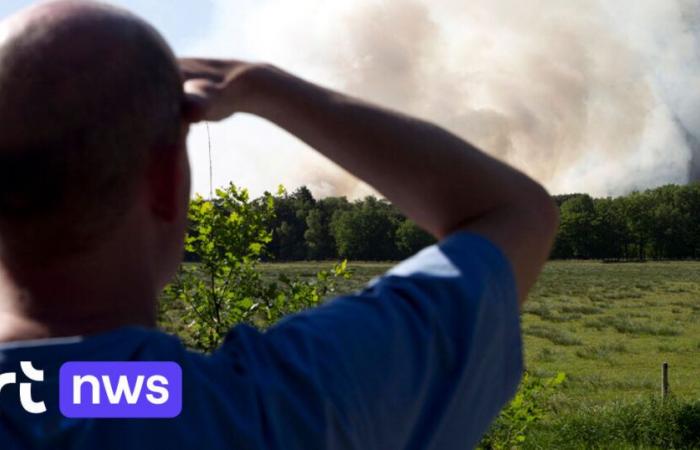 “La Belgique n’est pas prête à faire face à une augmentation des incendies de forêts”, prévient le Centre du risque climatique