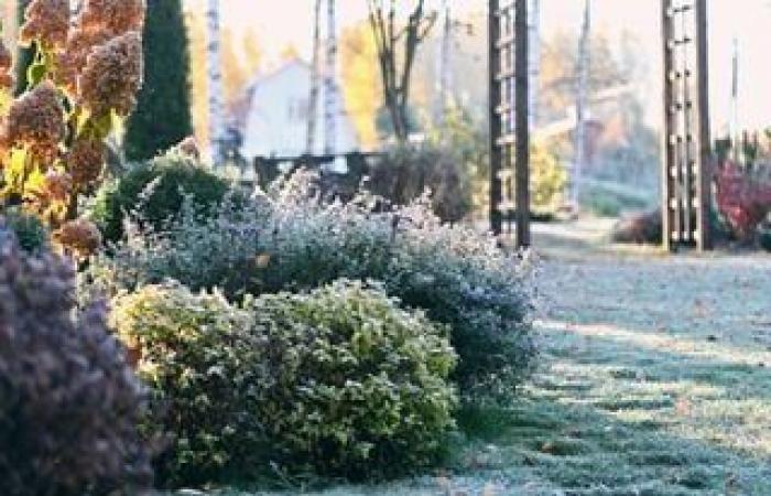 Si vous habitez dans ces villes, c’est mauvais pour la santé ! Découvrez pourquoi !