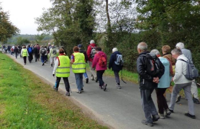 l’essor de la randonnée après le Covid