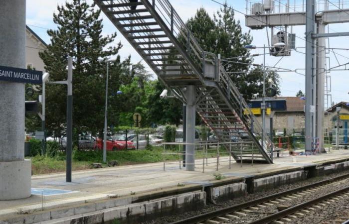 Isère. Une femme de 22 ans accouche dans le train avec l’aide d’un conducteur