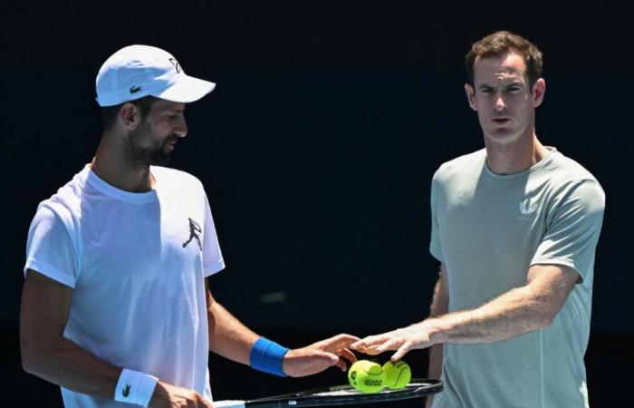 Fraîchement recruté, que peut apporter Andy Murray à Novak Djokovic ?