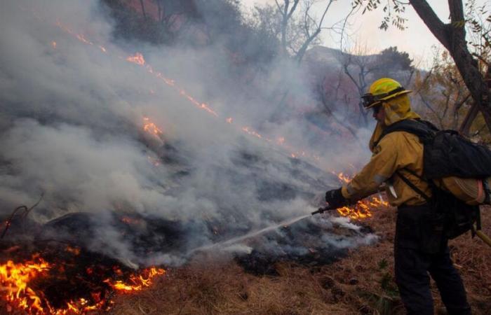 Zelensky propose d’envoyer des pompiers ukrainiens