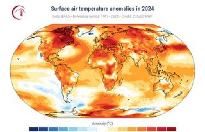 Pouvons-nous inverser la destruction des forêts tropicales de la planète ?