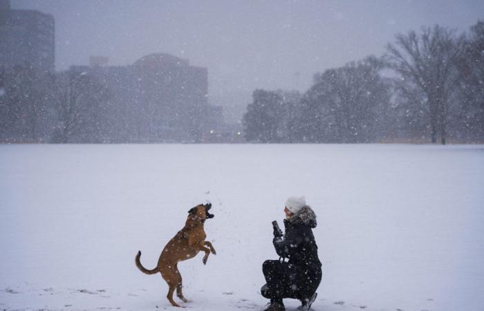 La tempête hivernale maintient son emprise glaciale sur le sud du pays