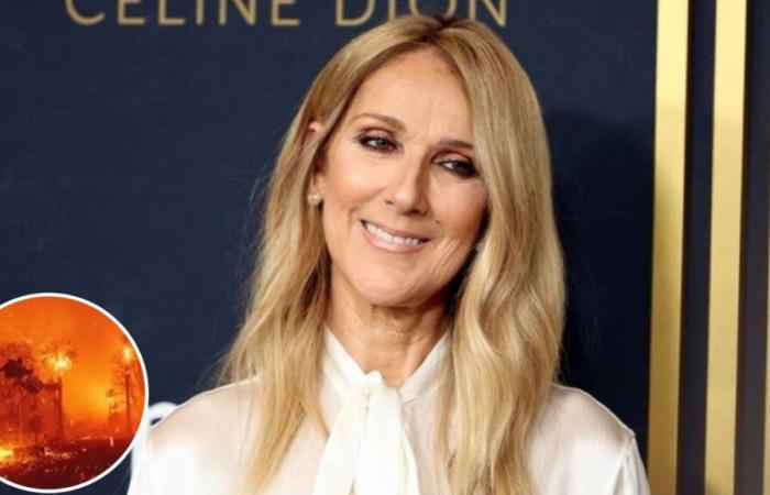 Céline Dion livre ses réflexions