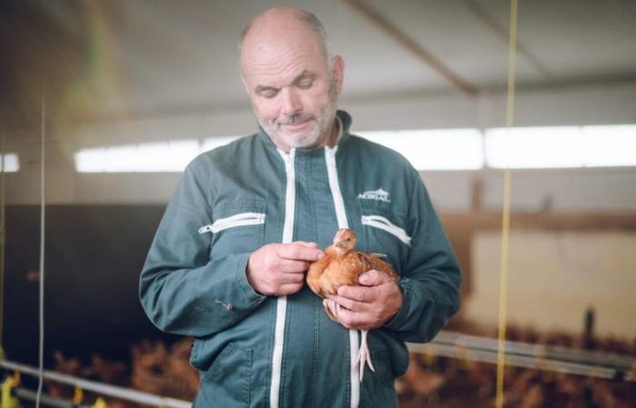 Pierrick, l’agriculteur « tactile et gourmand »