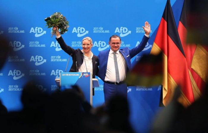 « Remigration », démolition d’éoliennes, sortie de l’UE… L’AfD détaille son programme pour les législatives allemandes