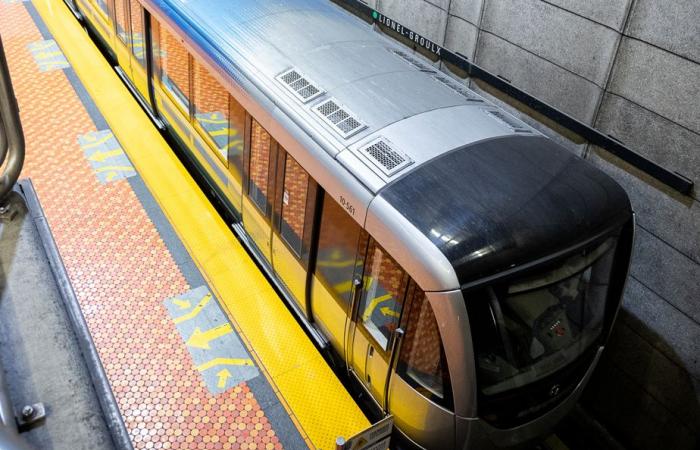 La ligne verte et une partie de la ligne orange à l’arrêt