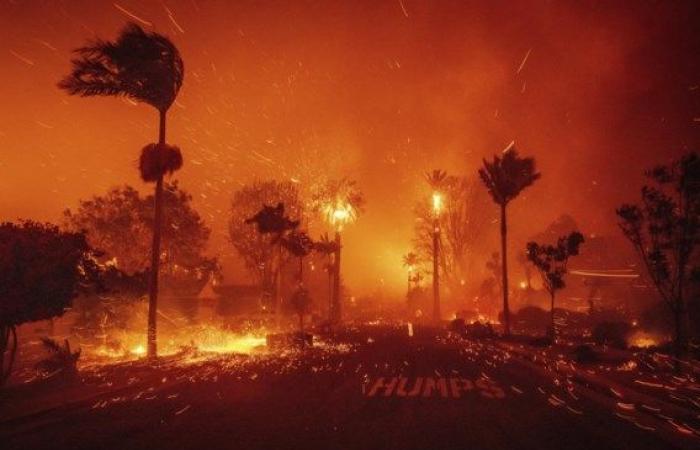 Au moins 16 personnes sont mortes dans des incendies à Los Angeles