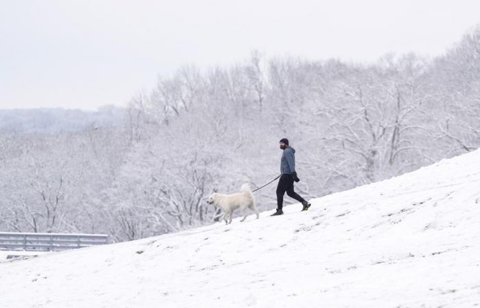 La tempête hivernale maintient son emprise glaciale sur le sud du pays