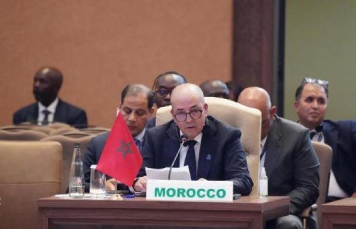 Participation du Maroc au Sommet extraordinaire de l’Union africaine sur le programme de développement agricole en Afrique – AgriMaroc.ma