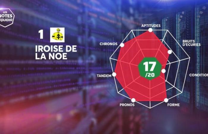 Les Notes des partants du Quinté+ de ce dimanche 12 janvier