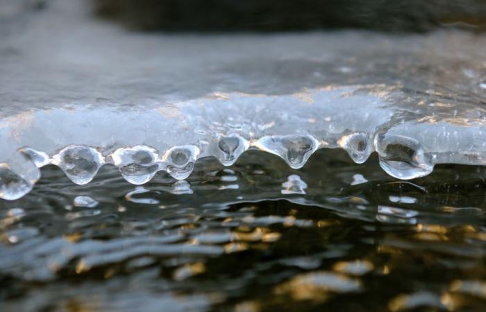 Bulletin météo. Quel temps fait-il ce dimanche 12 janvier dans les Hauts-de-France ?