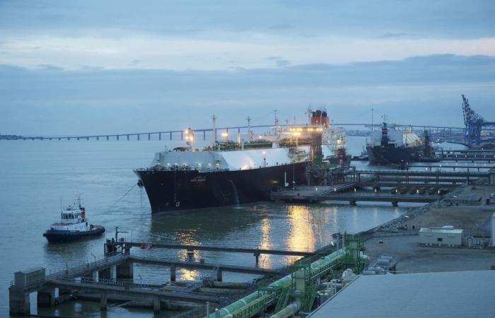 Le trafic du port de Nantes Saint-Nazaire a baissé de 10% en 2024