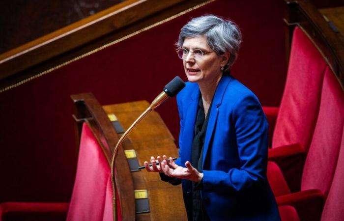 L’écologiste Sandrine Rousseau appelle tous les députés du PFN à quitter le réseau social