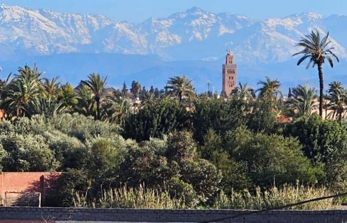 Alerte météo. Vague de froid toute la semaine prochaine au Maroc