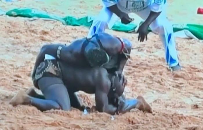 Papa Bari Bari bat Tapha Gueye 2 et arrête la belle séquence du vétéran