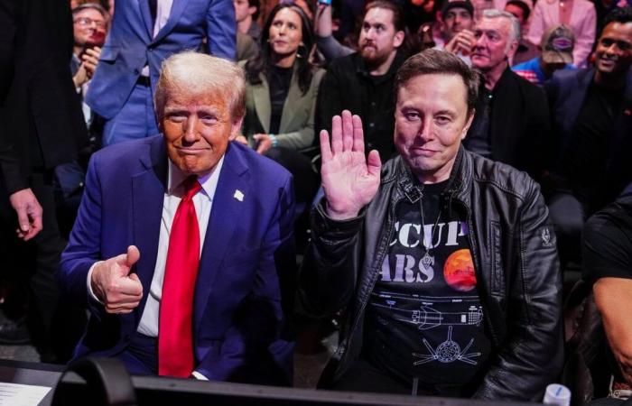 Elon Musk, influenceur et chef de Donald Trump