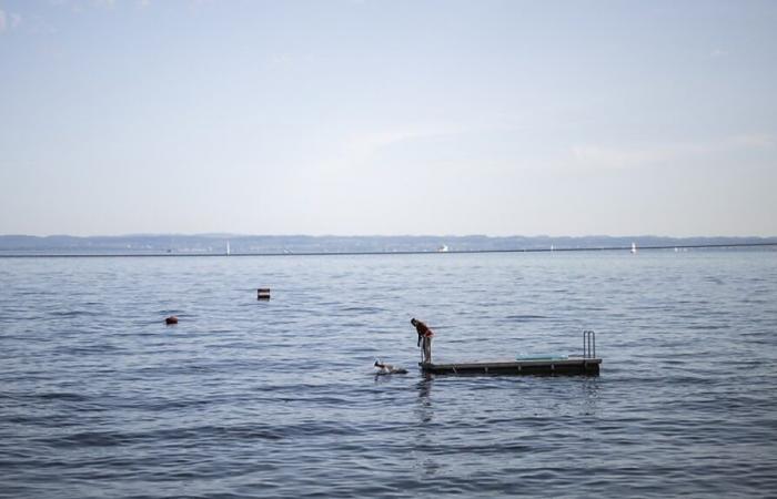 Un os découvert près d’une épave d’avion au lac de Constance