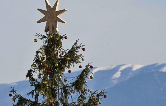 Feu de sapin de Noël à Fribourg