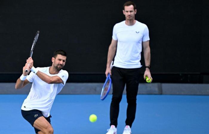 à l’Open d’Australie, le duo Novak Djokovic-Andy Murray prêt à faire des étincelles