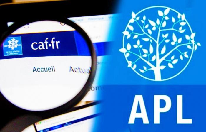 Les nouveaux plafonds de ressources de la CAF qu’il faut absolument connaître pour atteindre les APL