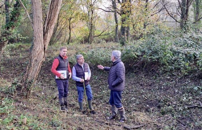 des travaux pour limiter les risques d’inondation